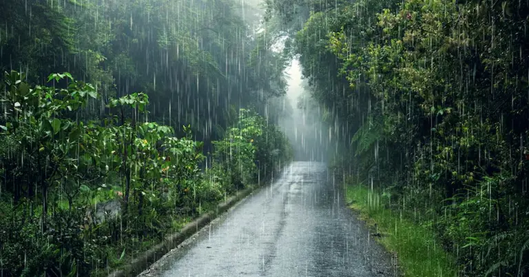 হালকা বৃষ্টি